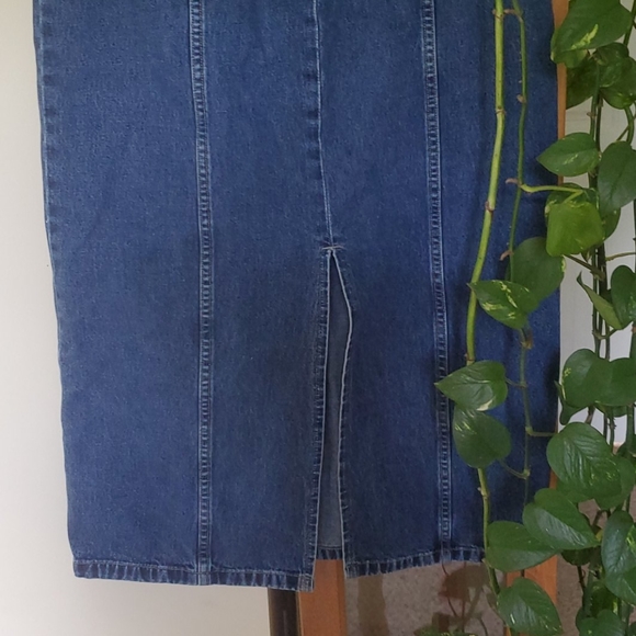 Vintage Denim Maxi Skirt - Picture 3 of 5